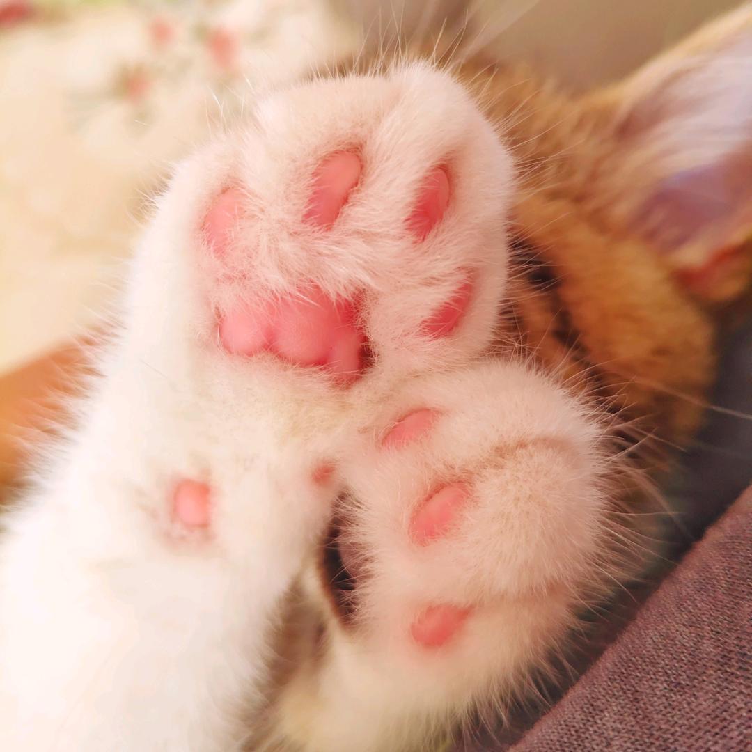 。.  。