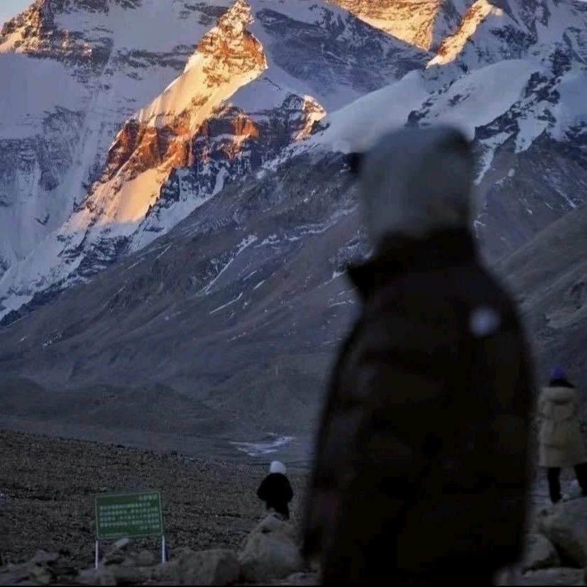 码农小杰(六年之约)