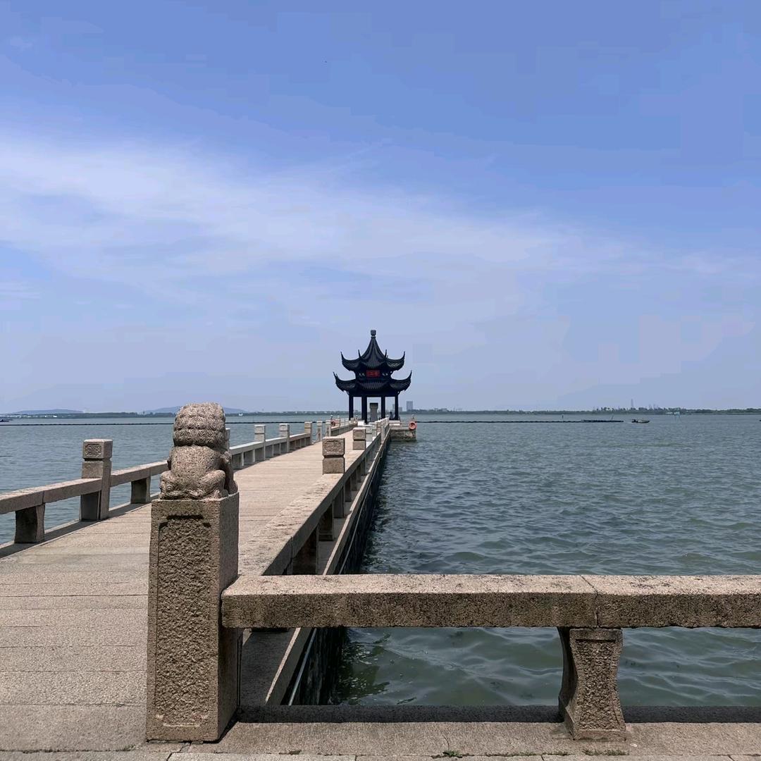 开心鸭