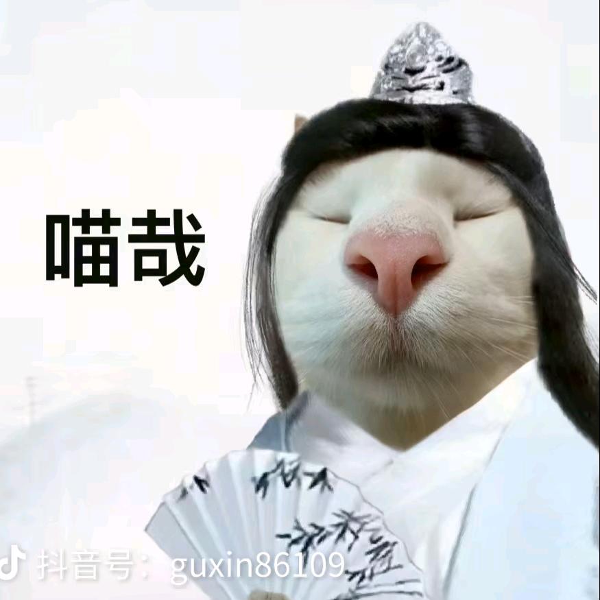 老实人也自豪头像