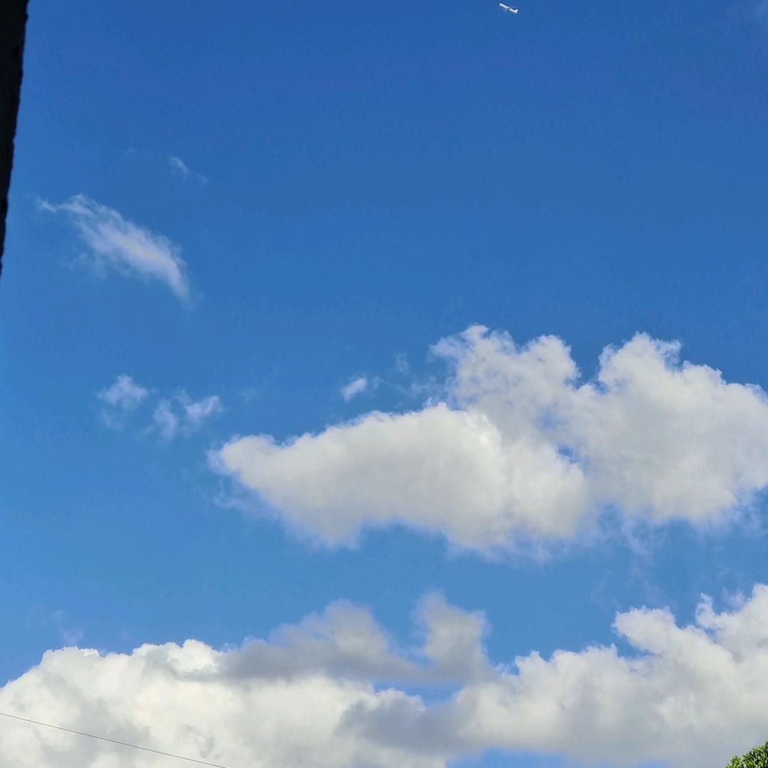 看淡💫  随心