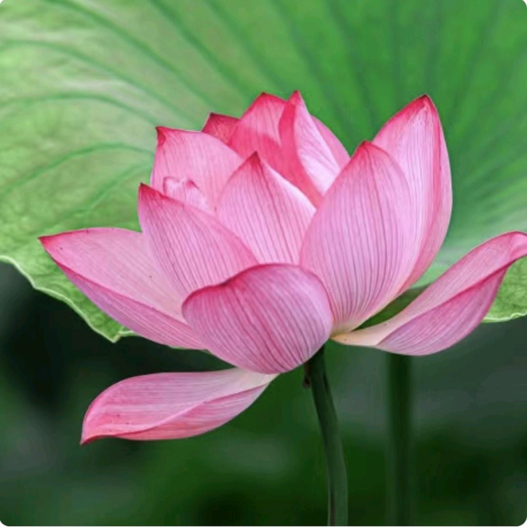 汇达玻璃不锈钢门业，