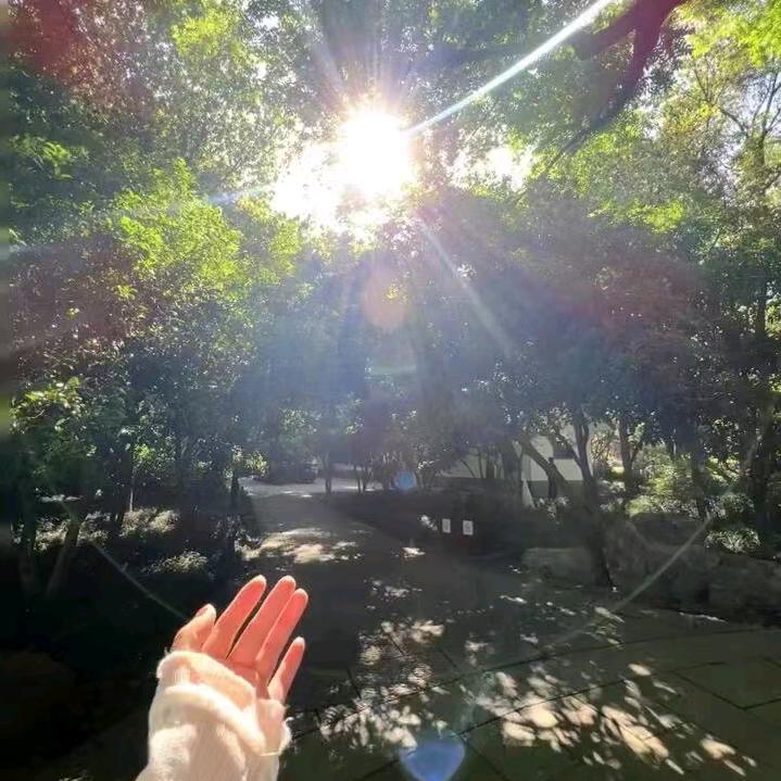 暴雨中撑伞不如躲进屋檐