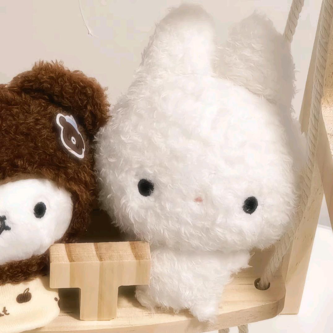 星云丨安安