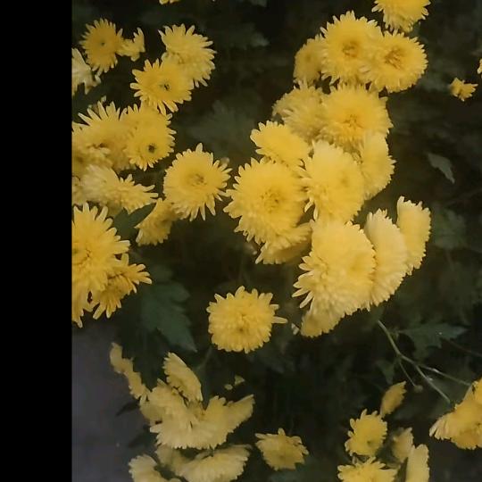 一生有你
