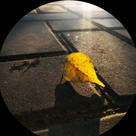 库洛米椰ᥫᩣ🕊🎤