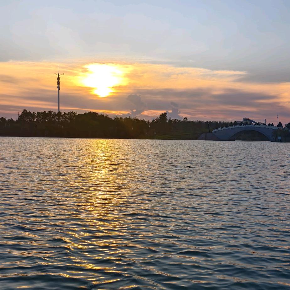 钱猫（努力减肥中）