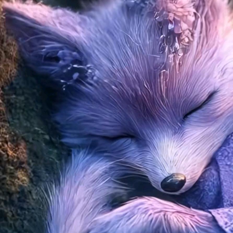 烟花在美只是瞬间