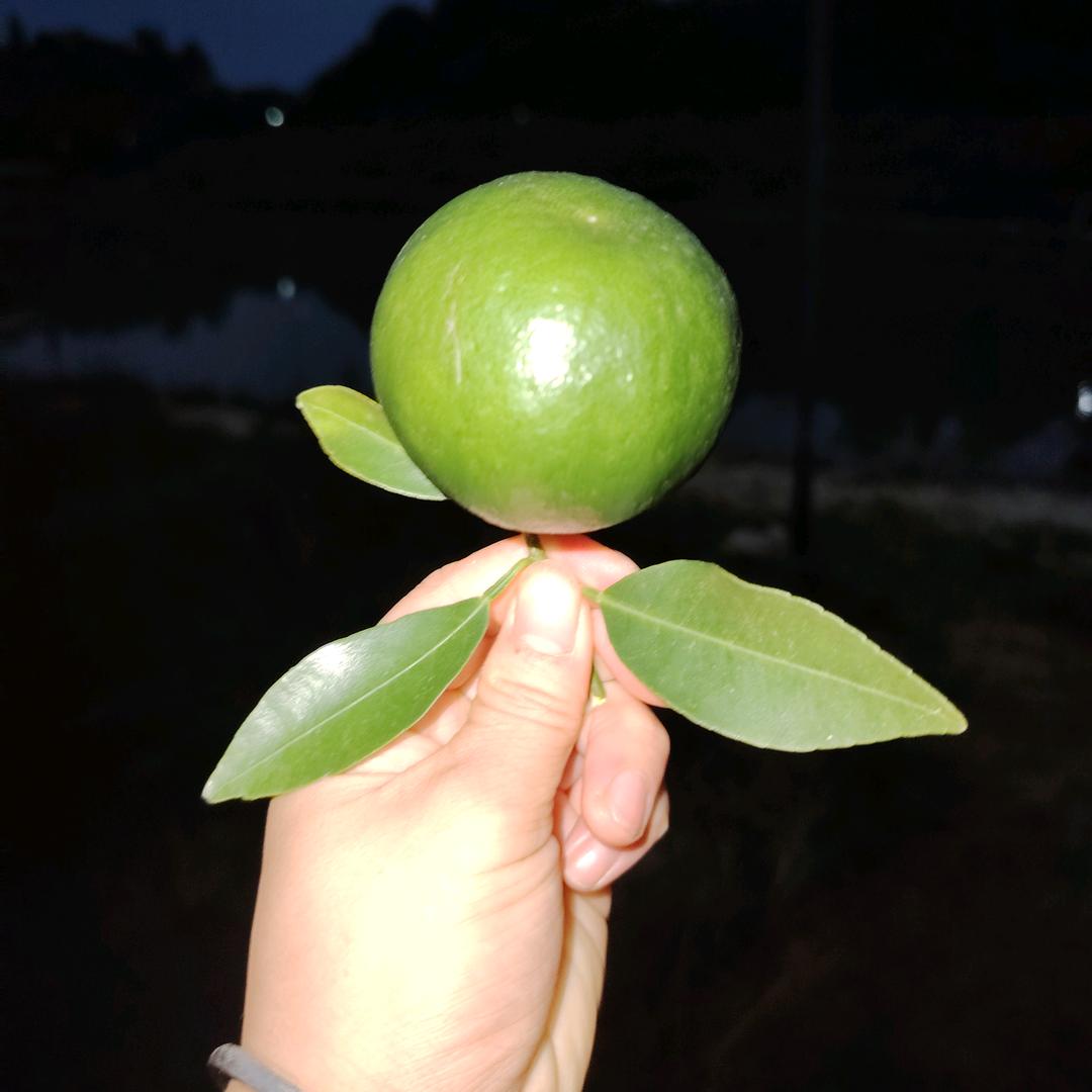 @໑ຼₒ₂5💞᭄ཽ࿆繁星若尘꧔ꦿ᭄❀