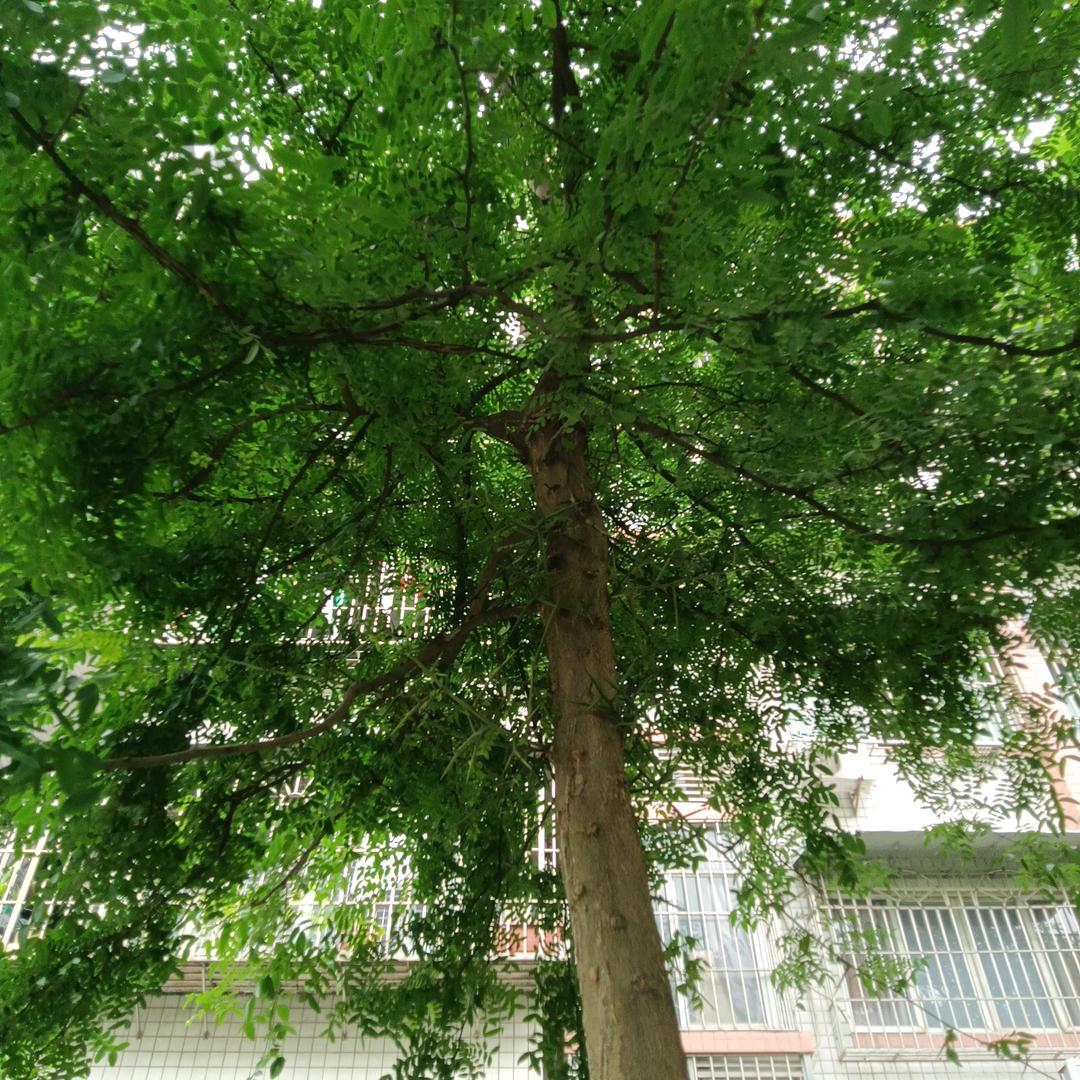 眉目不掩笑意