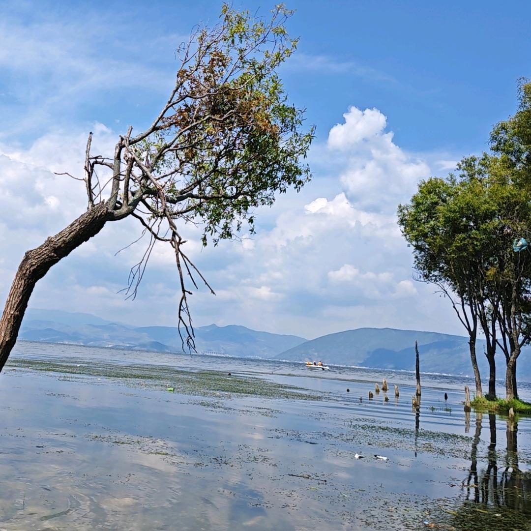 申赋斌便利优品小铺