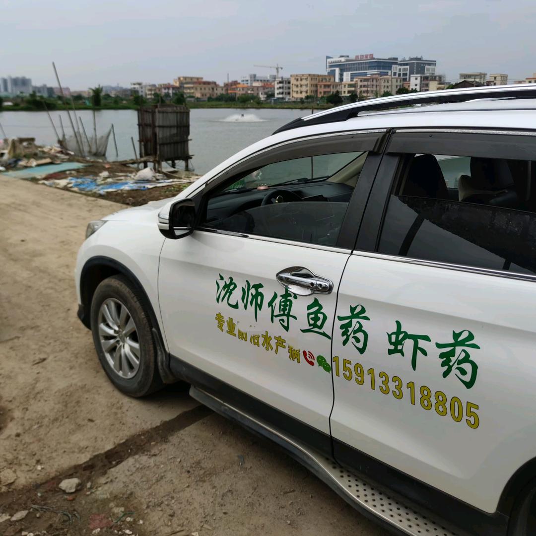 广东沈师傅渔药