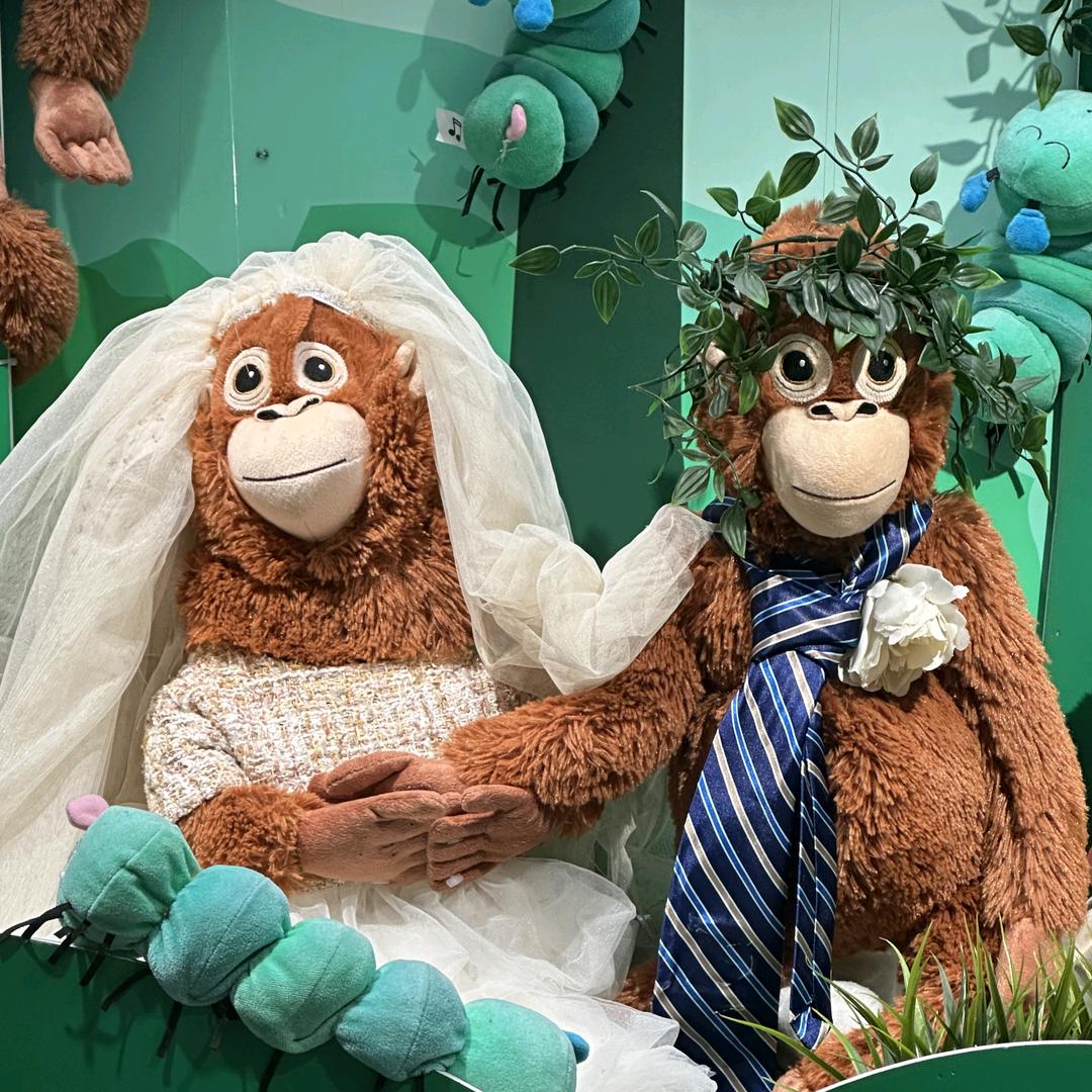 牛老板Dr.Niu Crystal🔮