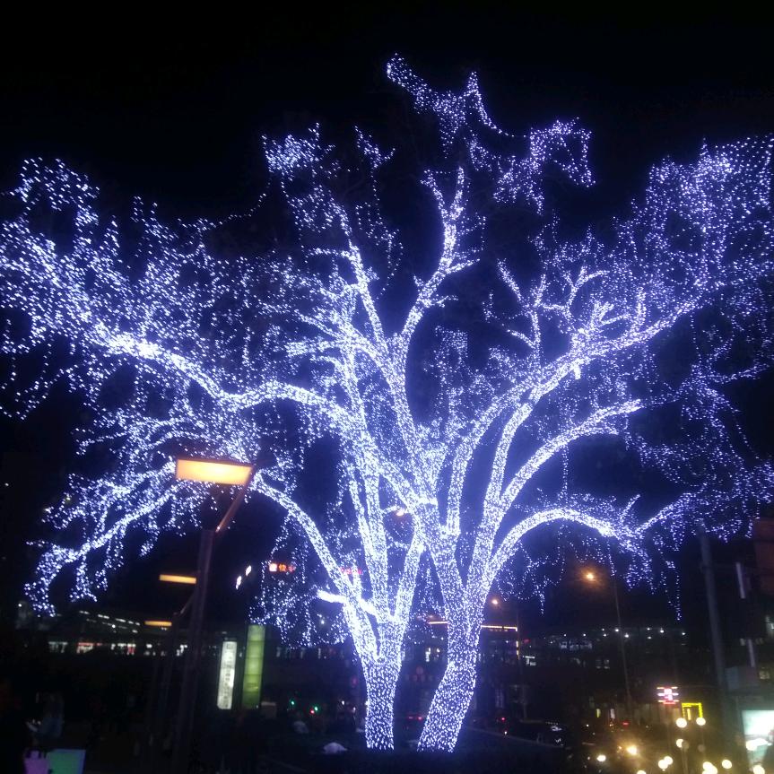 光伏配件，电梯膨胀，车修壁虎，异型丝