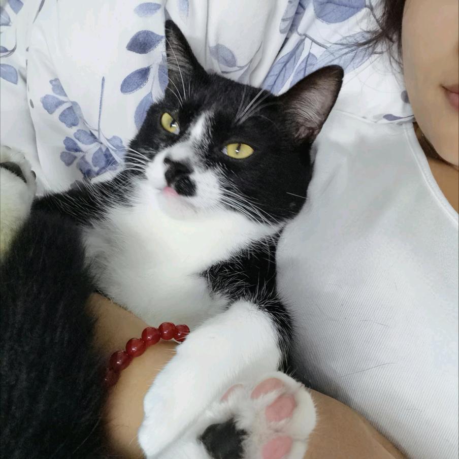 小阿姚