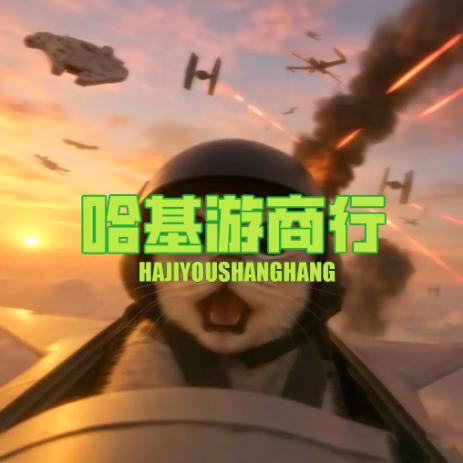 哈基游电竞-小叶