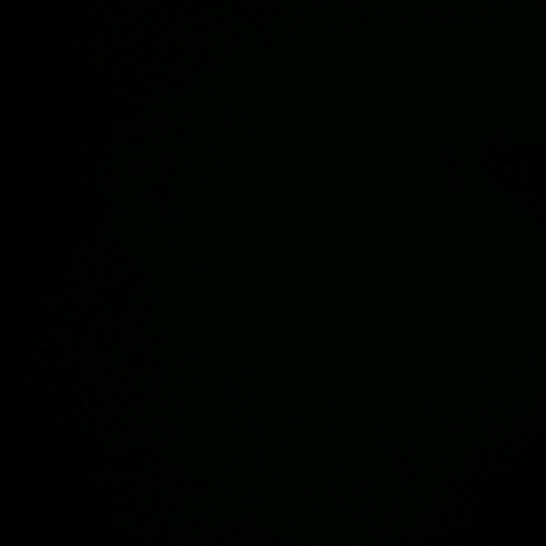 豆哥