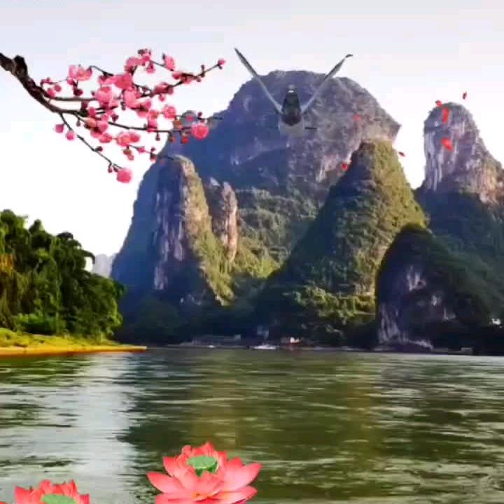 瞿姐：本地生活团购达人