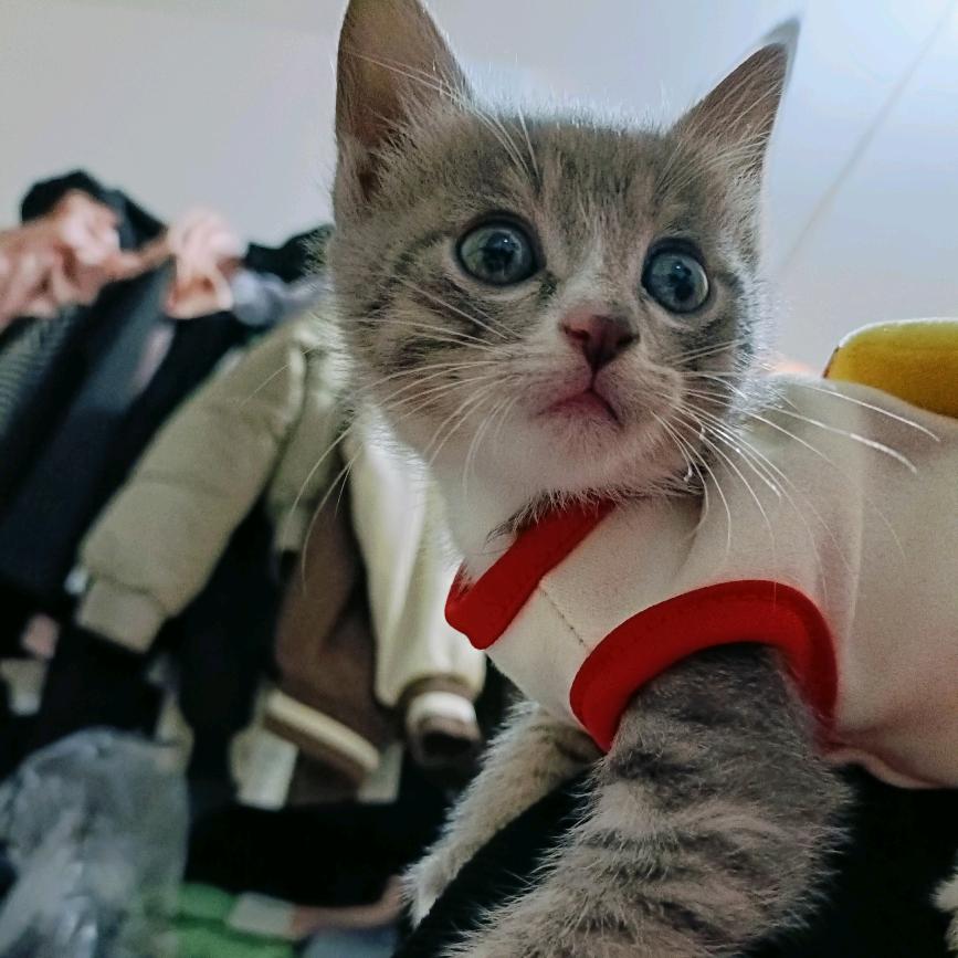 王小碗🥣👸🏻