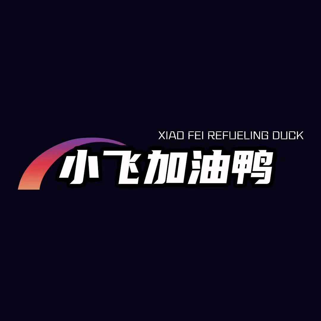 小飞加油鸭