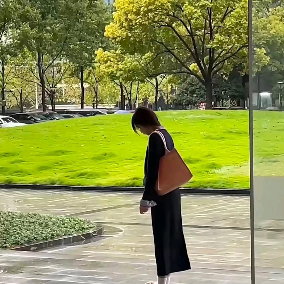 果冻菜包狗