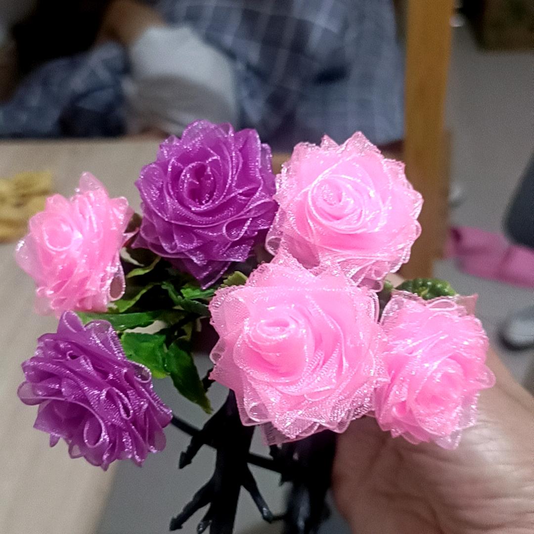 不💐负((🌺初🌺)心❤️)🌹