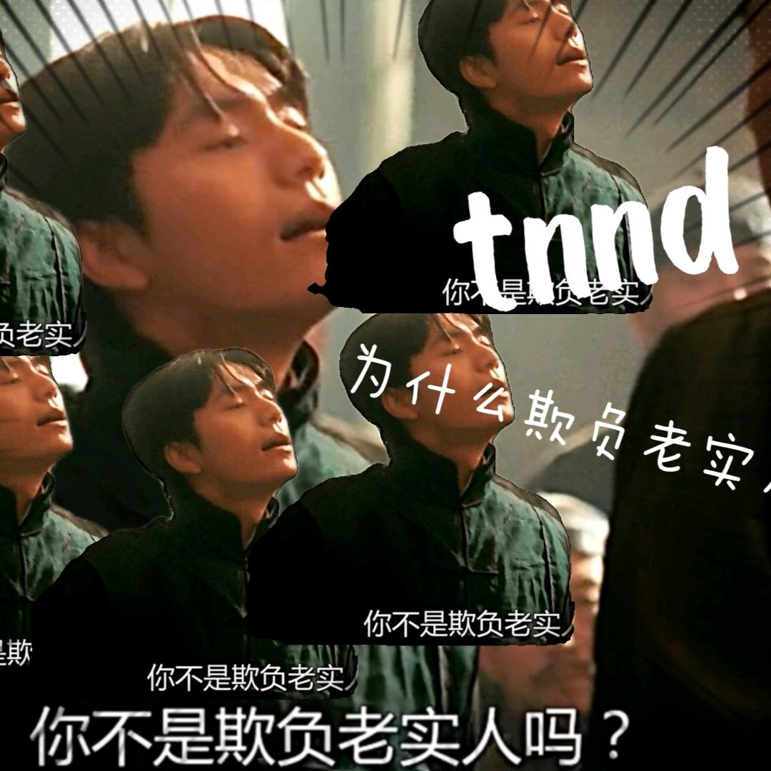 老实人就是我（懵逼版）