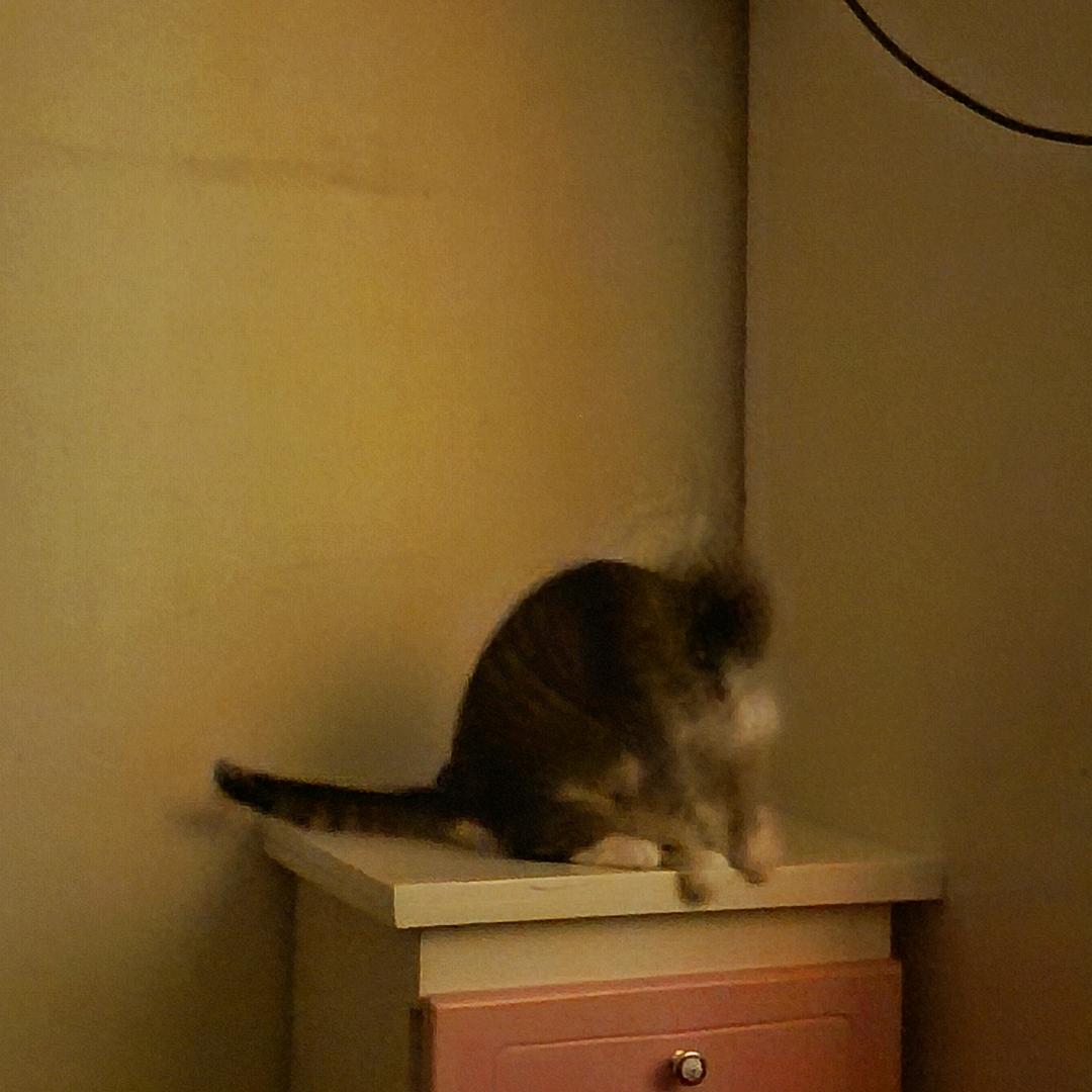 道成寺钟