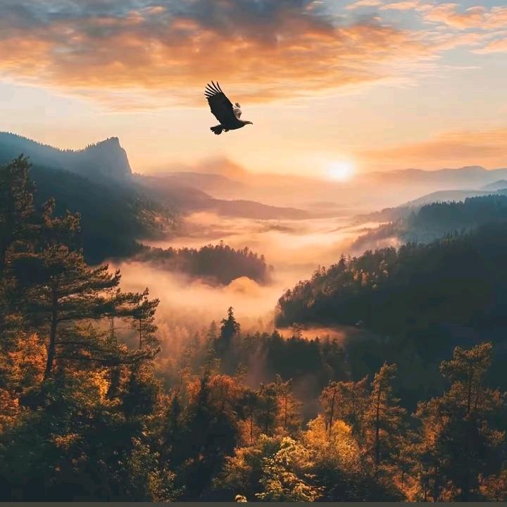 月上梢头