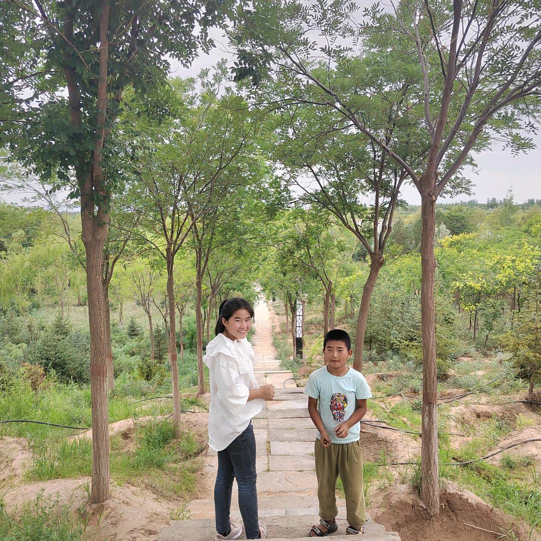 🌹平平安安🌹