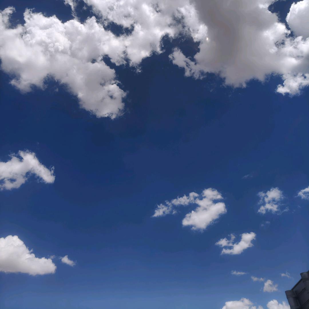 寂寞想起你↩️