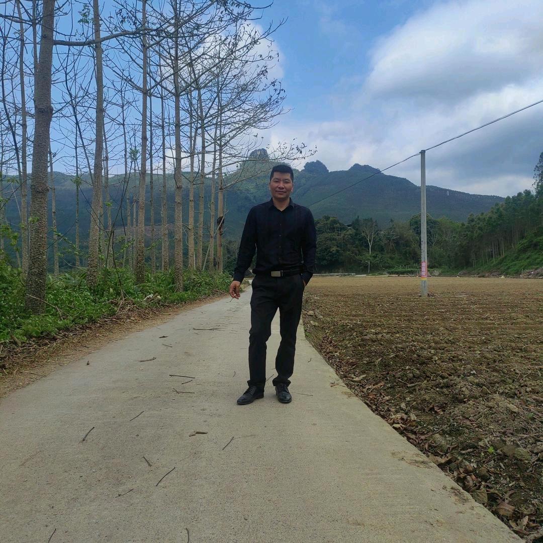 七坡+高峰+力源宝桉树肥