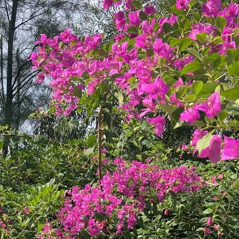 细认双瞳点秋水，依然竹马识君初。