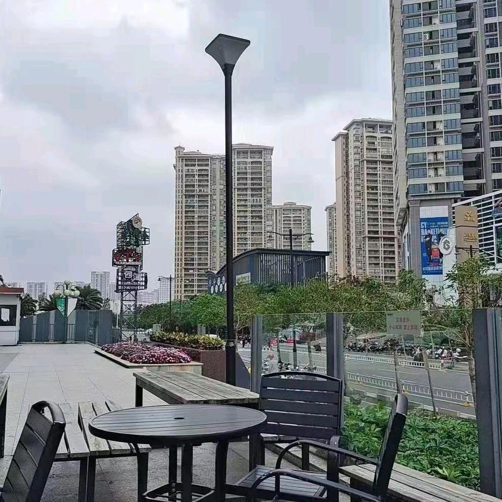 是一只九小月
