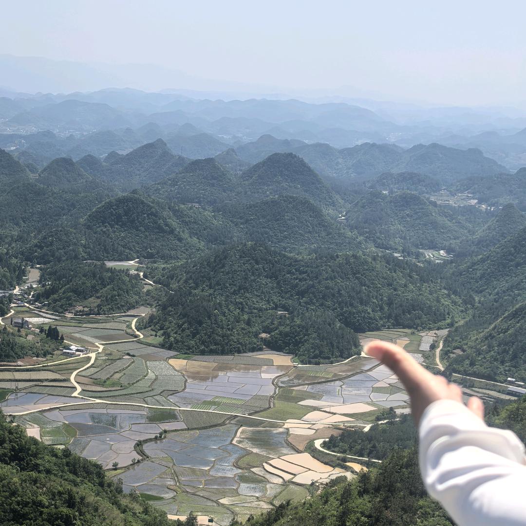 随心所欲