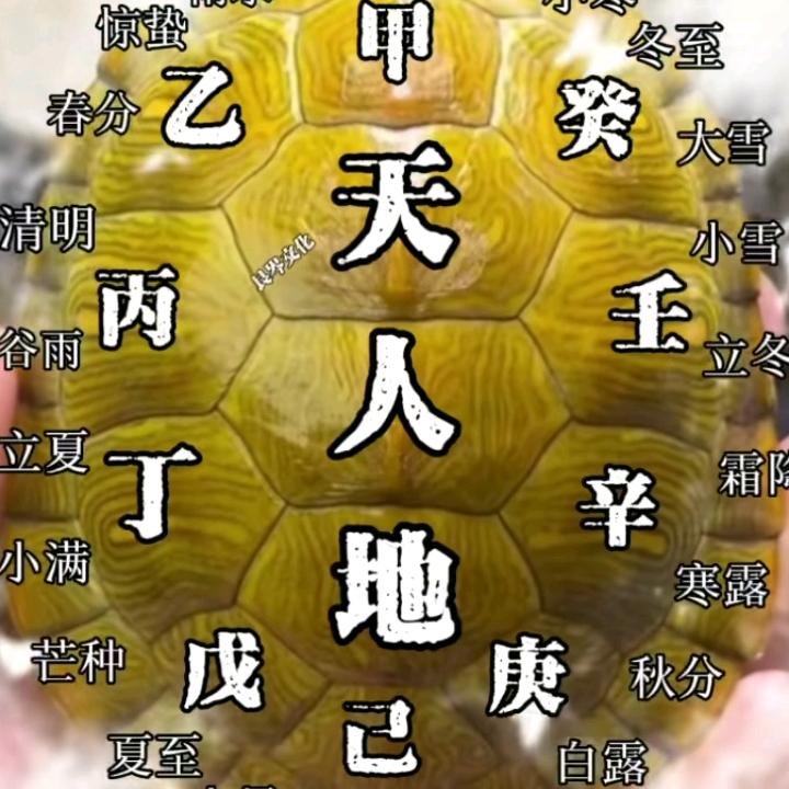 曾经的梦想，