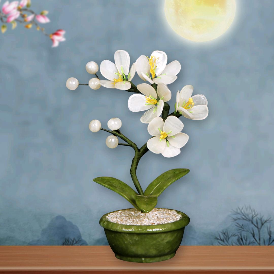 富贵花开
