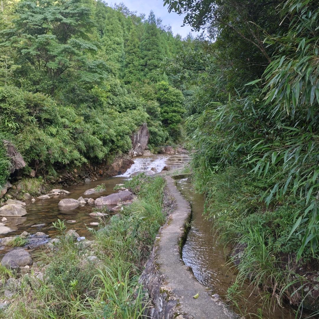 平衡
