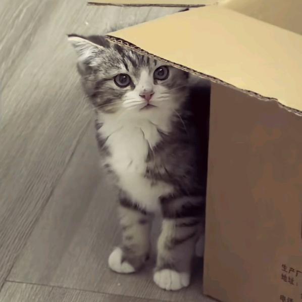 我不叫小落