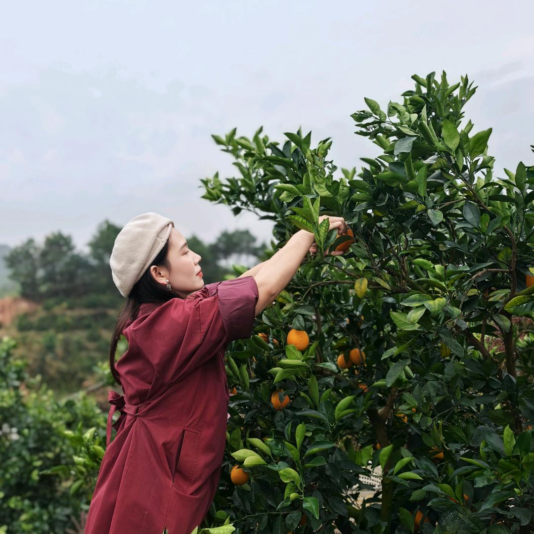小艾艾呀 赣南脐橙热销中