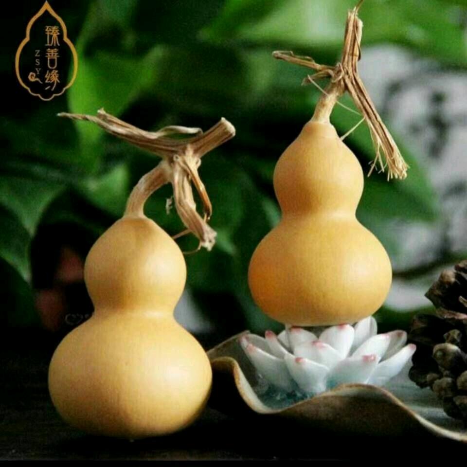 曾曾
