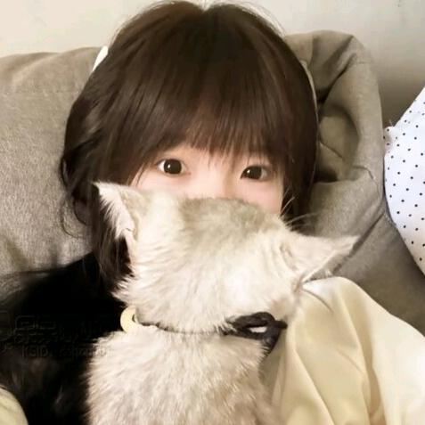 鲷鱼烧ᯅ̈
