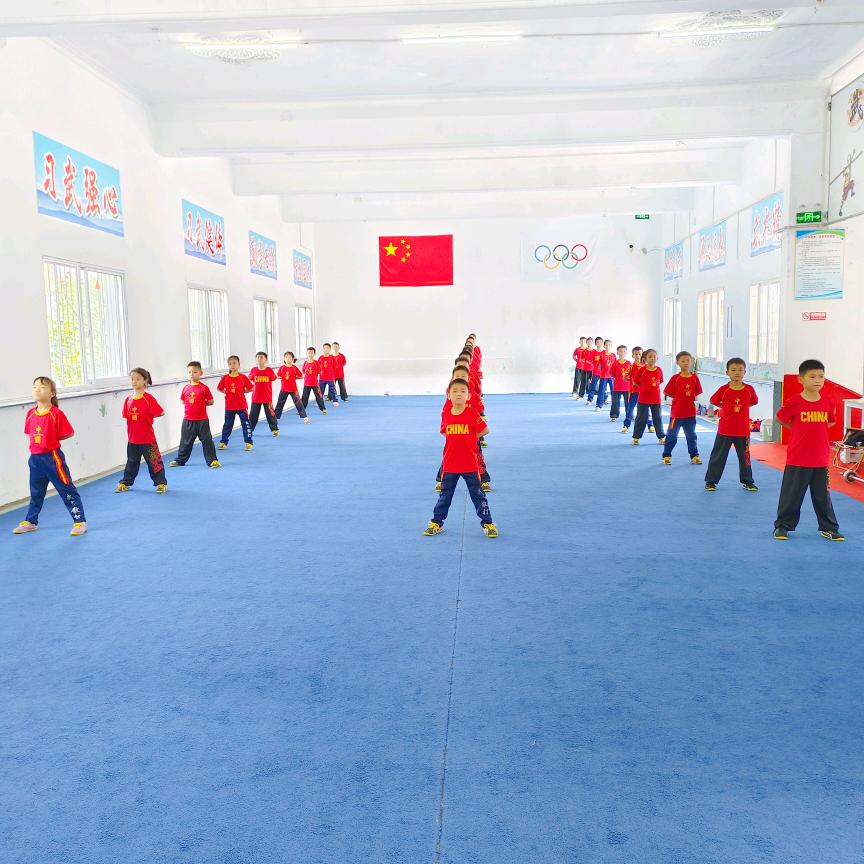 肥城市 华远 武术 散打