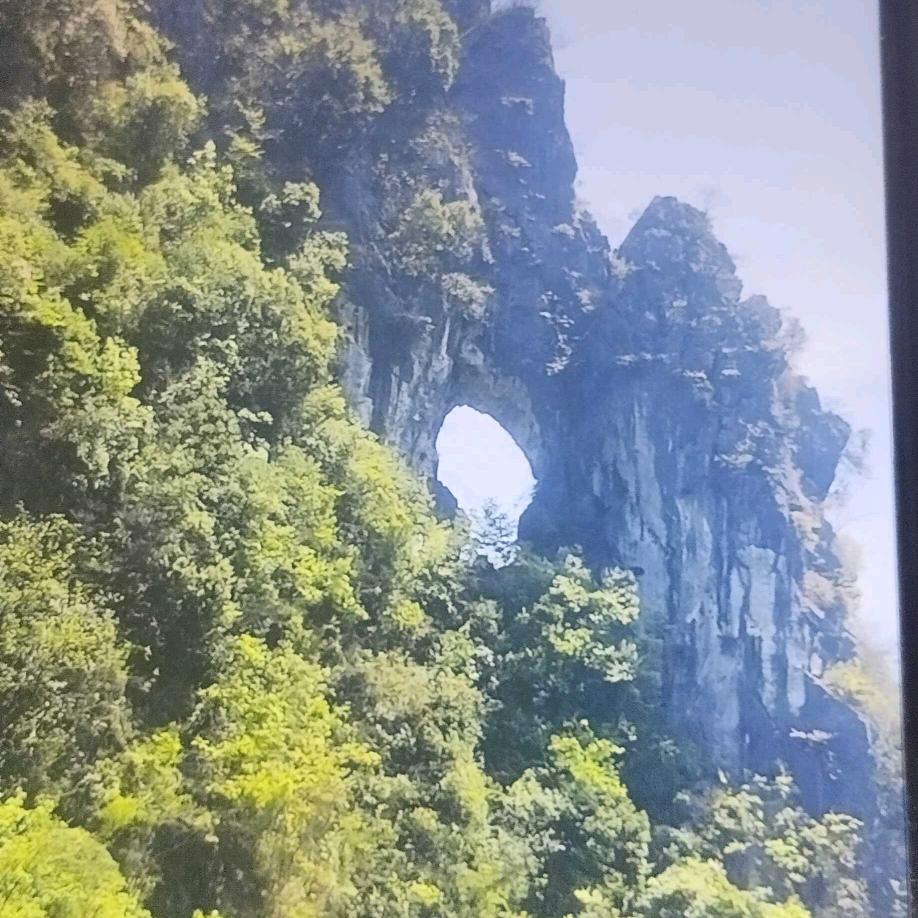 八方进宝