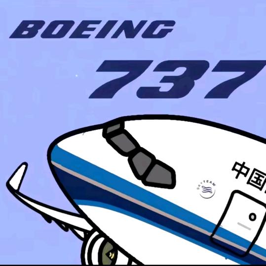 中国南方航一架B737-800
