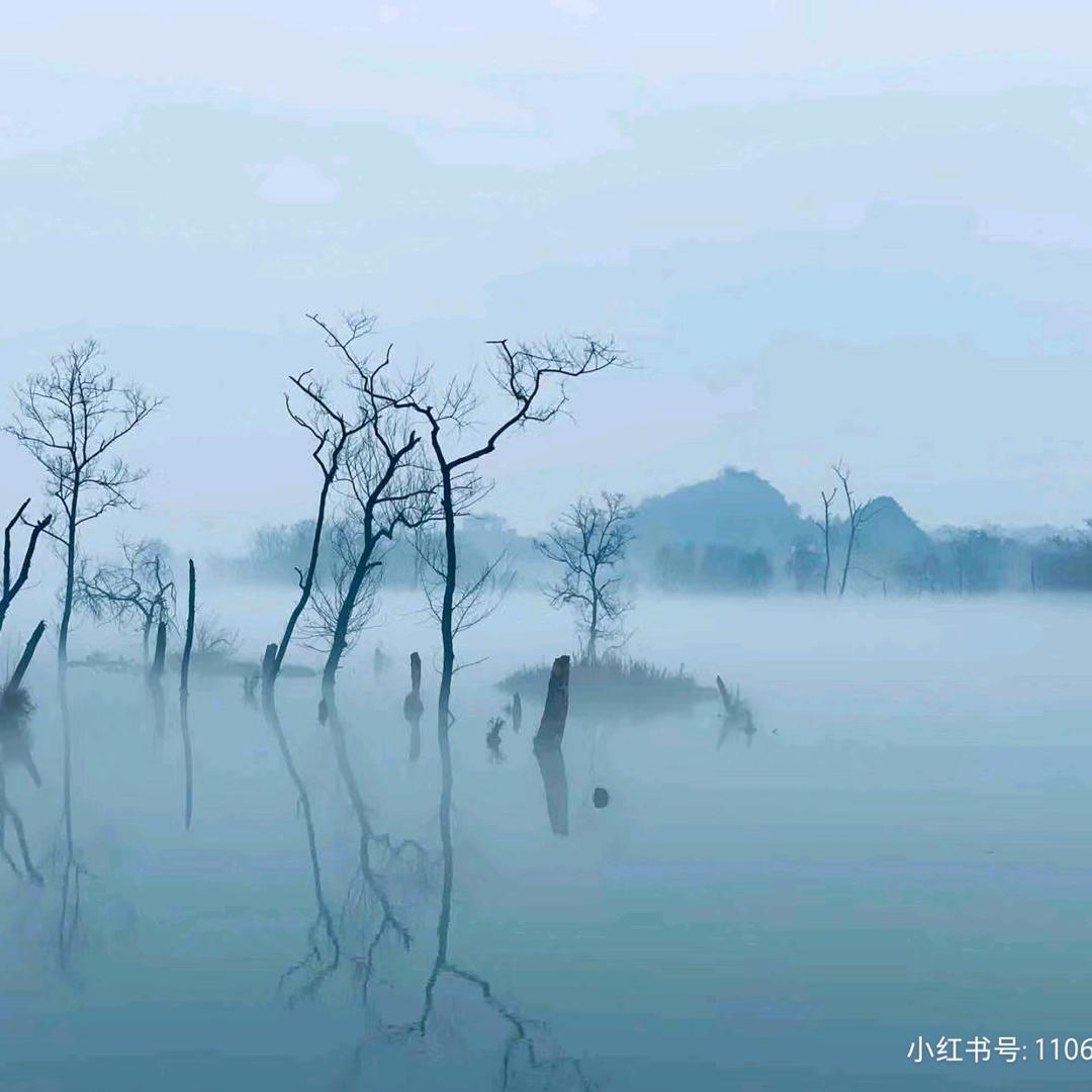 岁岁冬