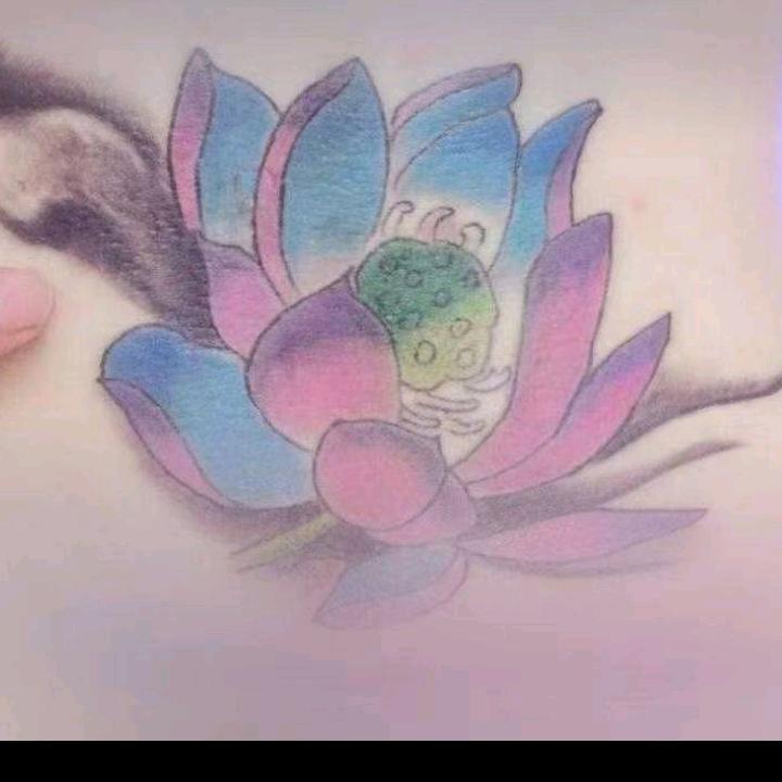 猎豹《孤独的鲍子》