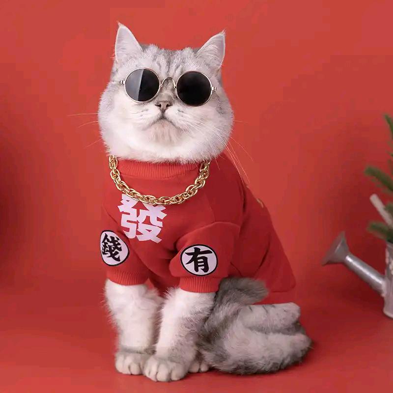 爱吃糖糖🍭