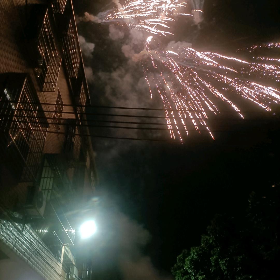 随风~~本草学