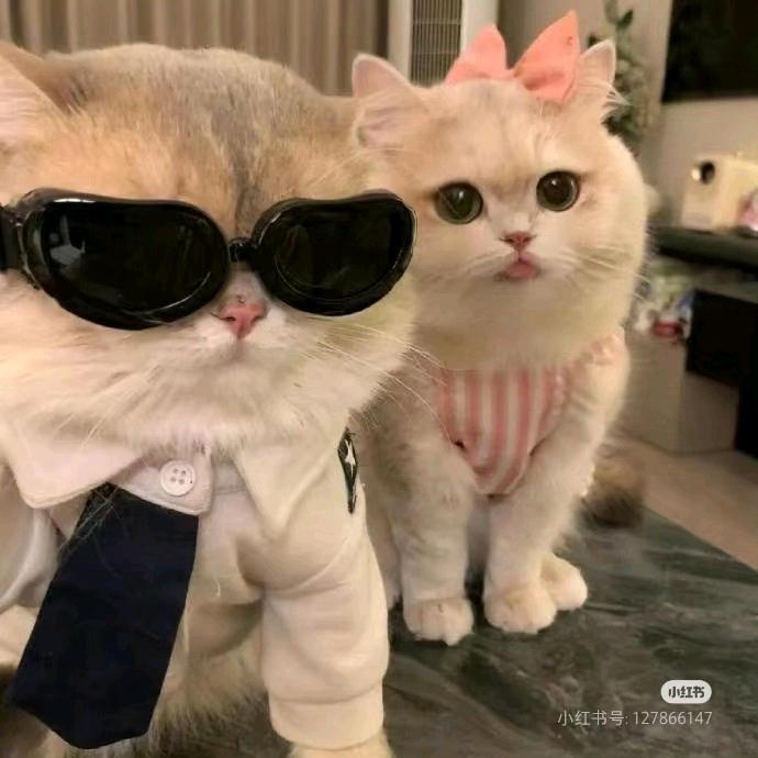 好好生活